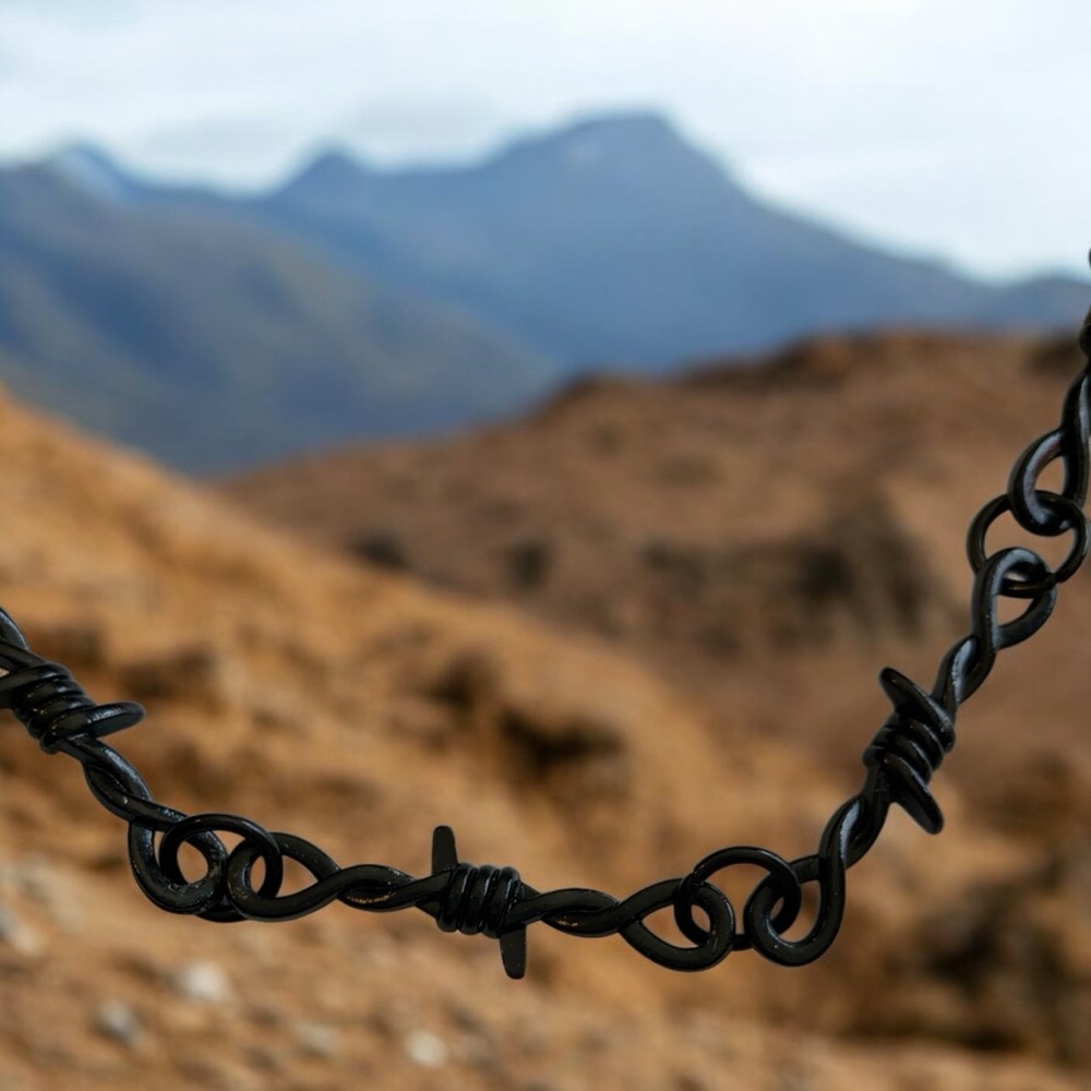 Black Barbed Wire Necklace